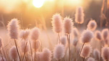 Couleur tendance Pantone 2024