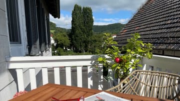 Interview Carina Hölzer