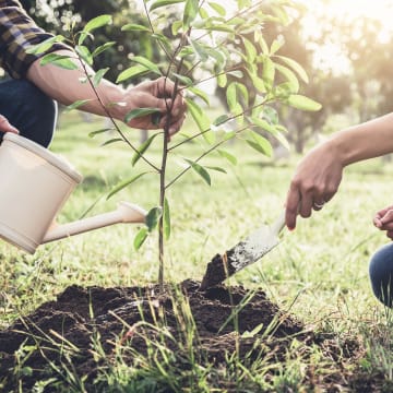 Engagement sociétal