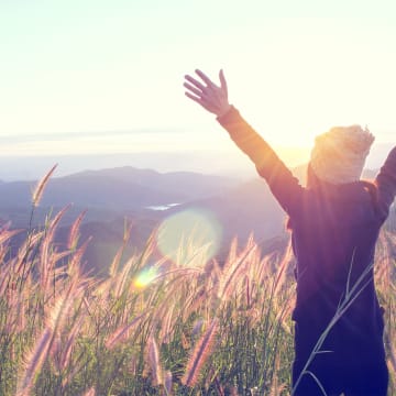 Satisfaction as motivator