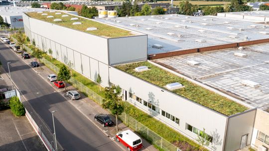 Quelle: Bührer + Wehling