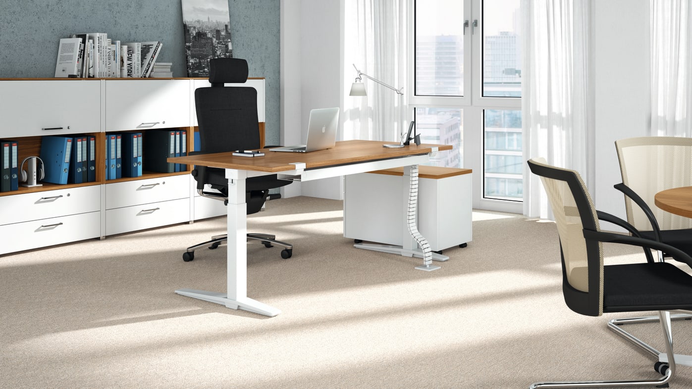 Talo S Desk With Sit Stand Feature