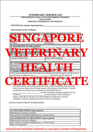 veterinary health certificate template