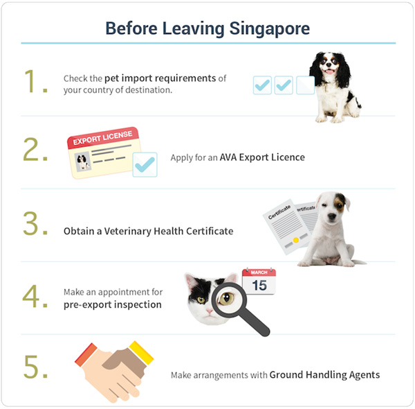 How Can I Bring My Dog From Philippines To Singapore