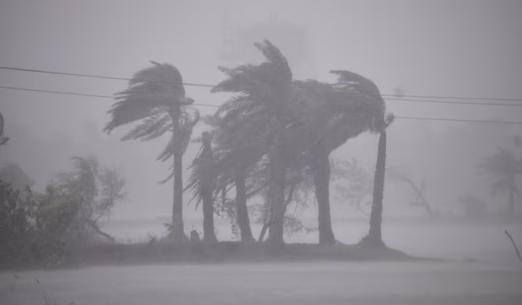Cyclone Arnab: Heavy rains in over 300 villages, scenes of devastation in Odisha, Andhra