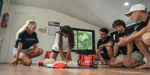 Koh Tao Divers React Right certification course promotional card where is the whale shark