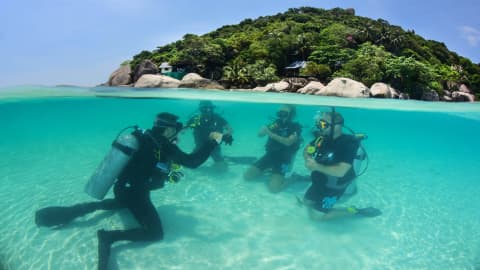 Koh Tao Divers instructor teaching scuba course in shallow tropical water near a lush island