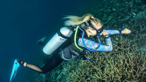 Koh tao divers scuba diver examining coral reef closely during underwater navigation dive