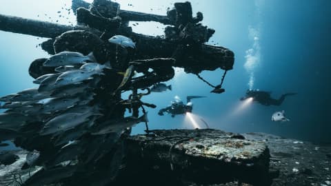 Koh tao divers wreck diving with torch lights near a sunken shipwreck