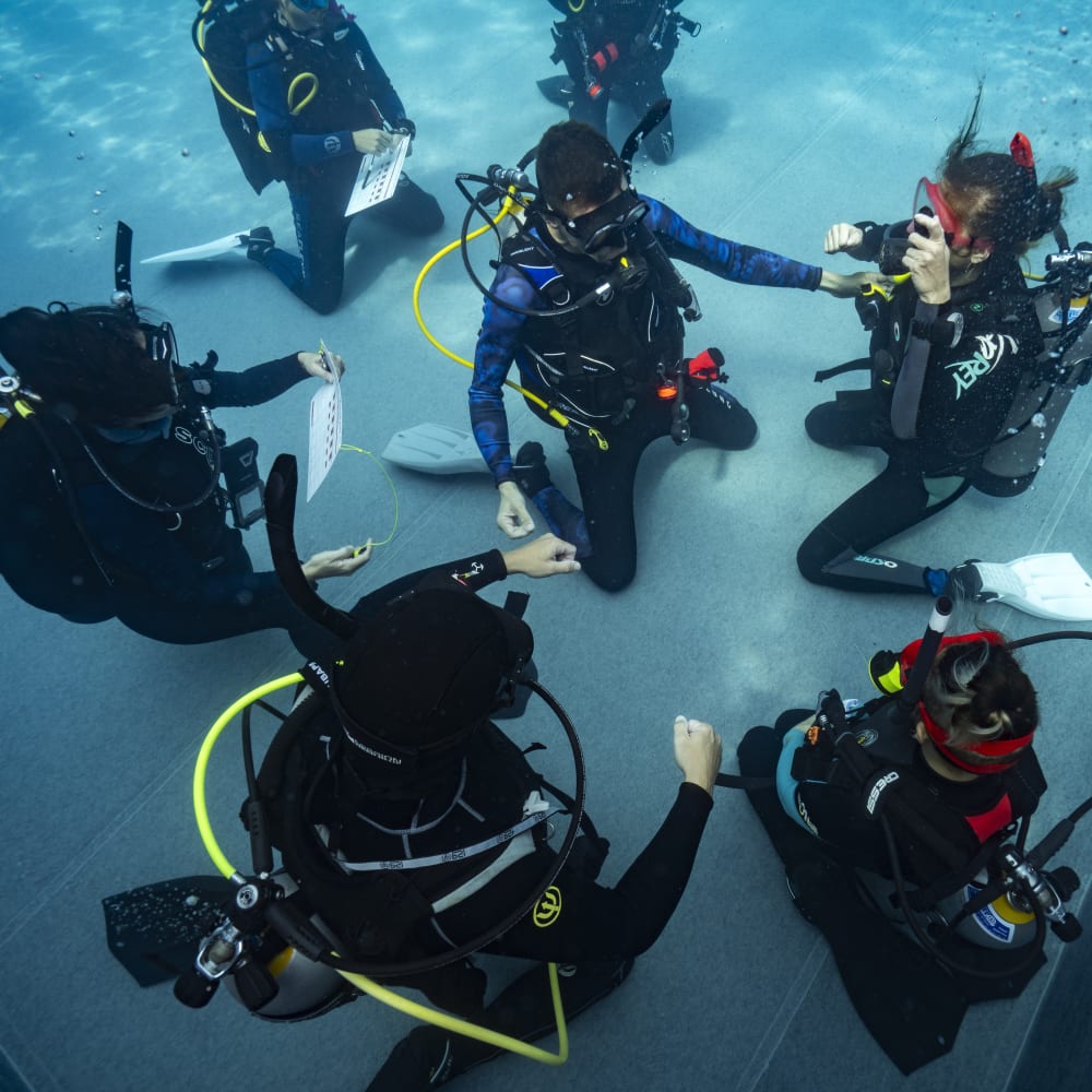 Koh Tao Divers students watching instructor performing scuba skills during confined water training