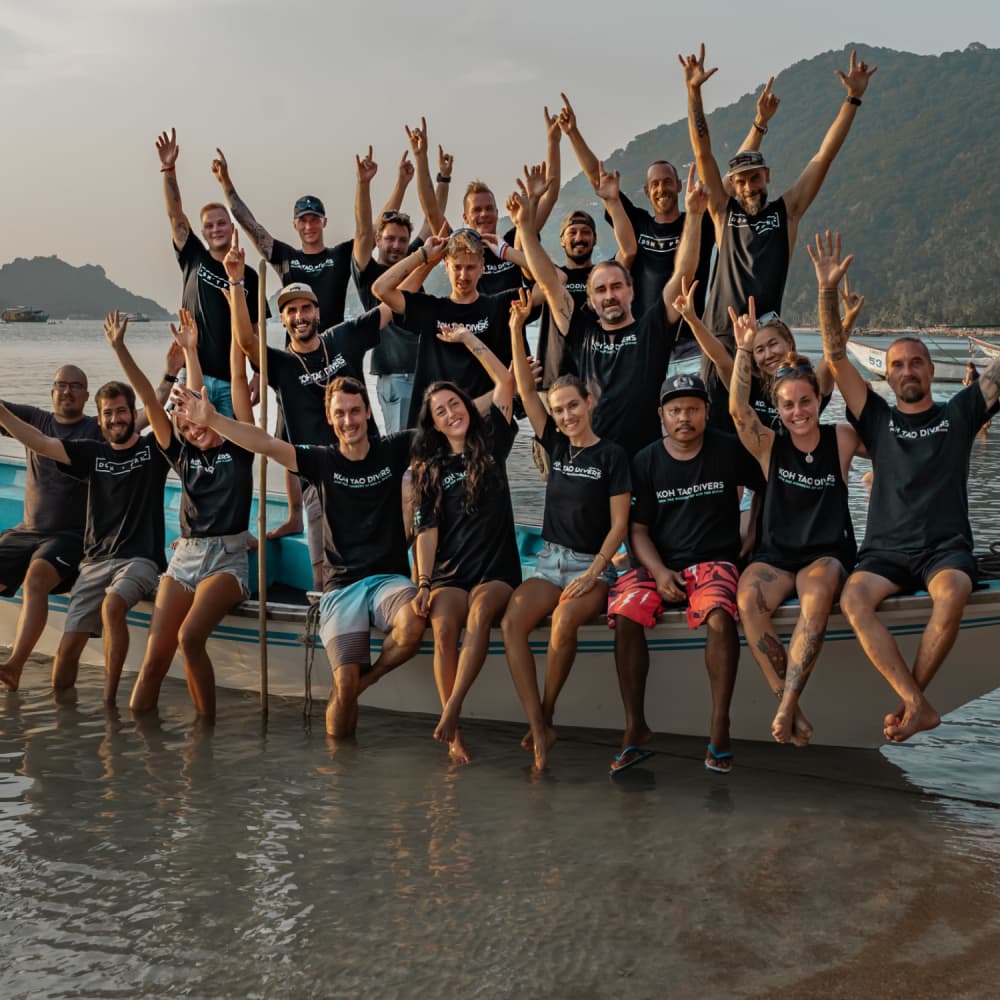 This is alt tag to image