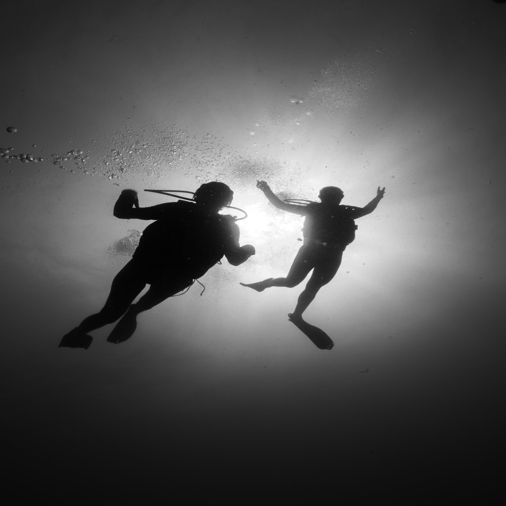 Koh Tao Divers black and white silhouette of two scuba divers swimming toward the surface