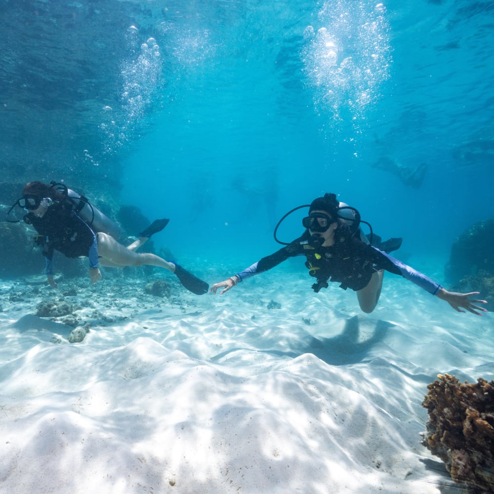 Koh Tao divers diving close to sandy bottom during beginner course