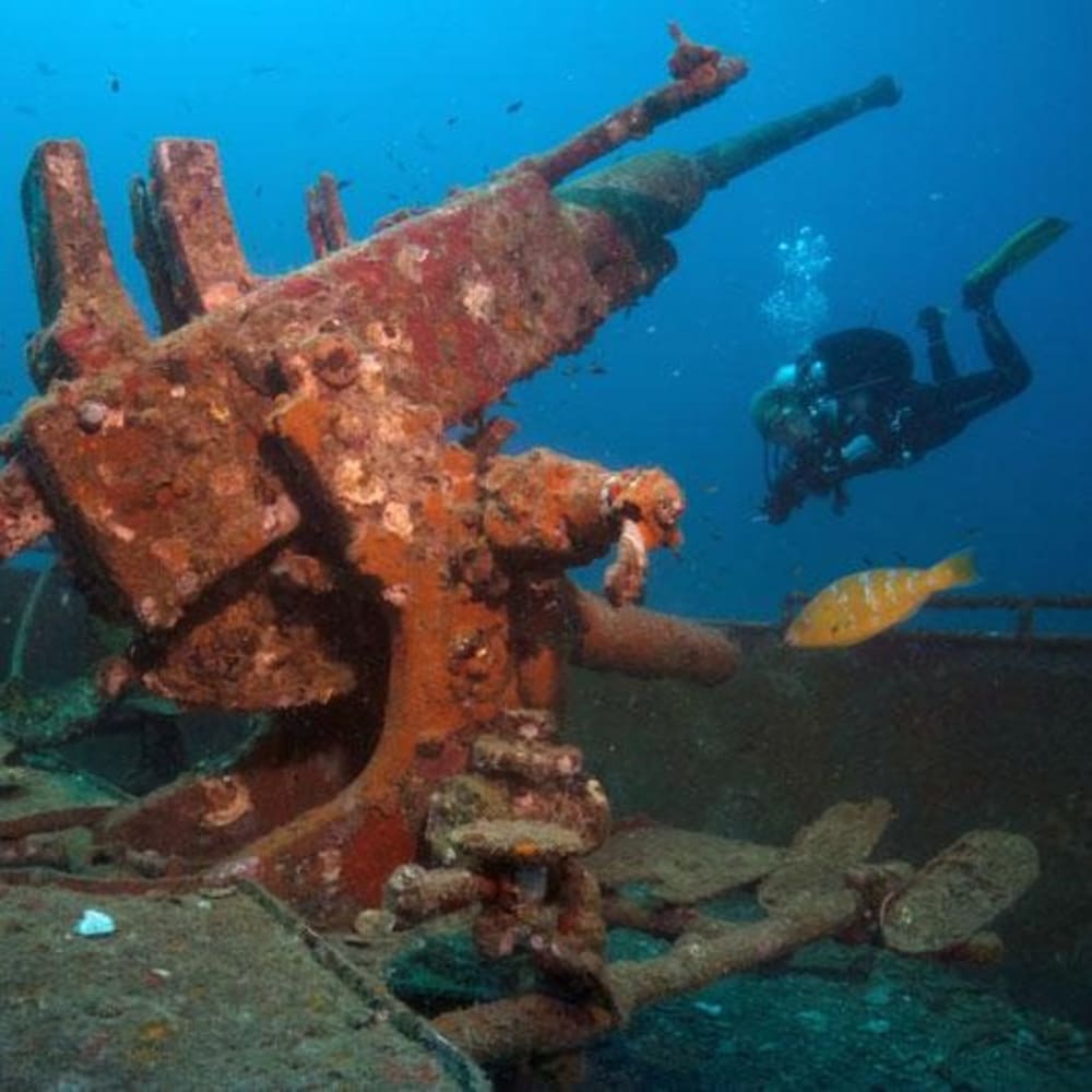 Koh Tao Divers diver examining rusted artillery gun on a sunken wreck.