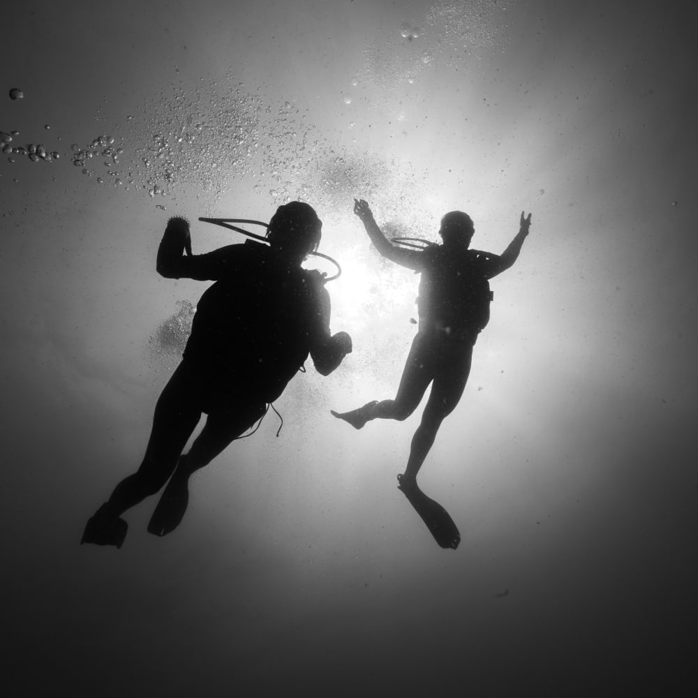 Koh Tao Divers black and white underwater photo of two divers swimming past a coral reef.