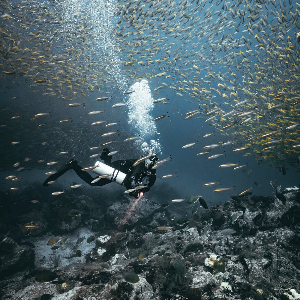 Koh Tao Divers technical diver explores a school of fish above corals during technical dive