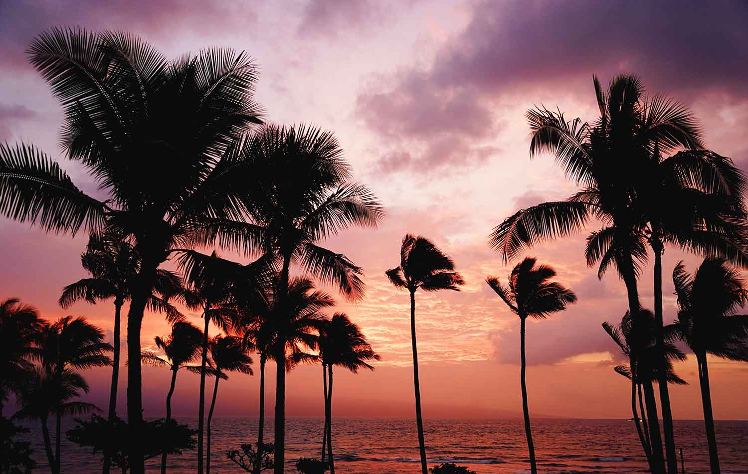 Sunset Cruise
