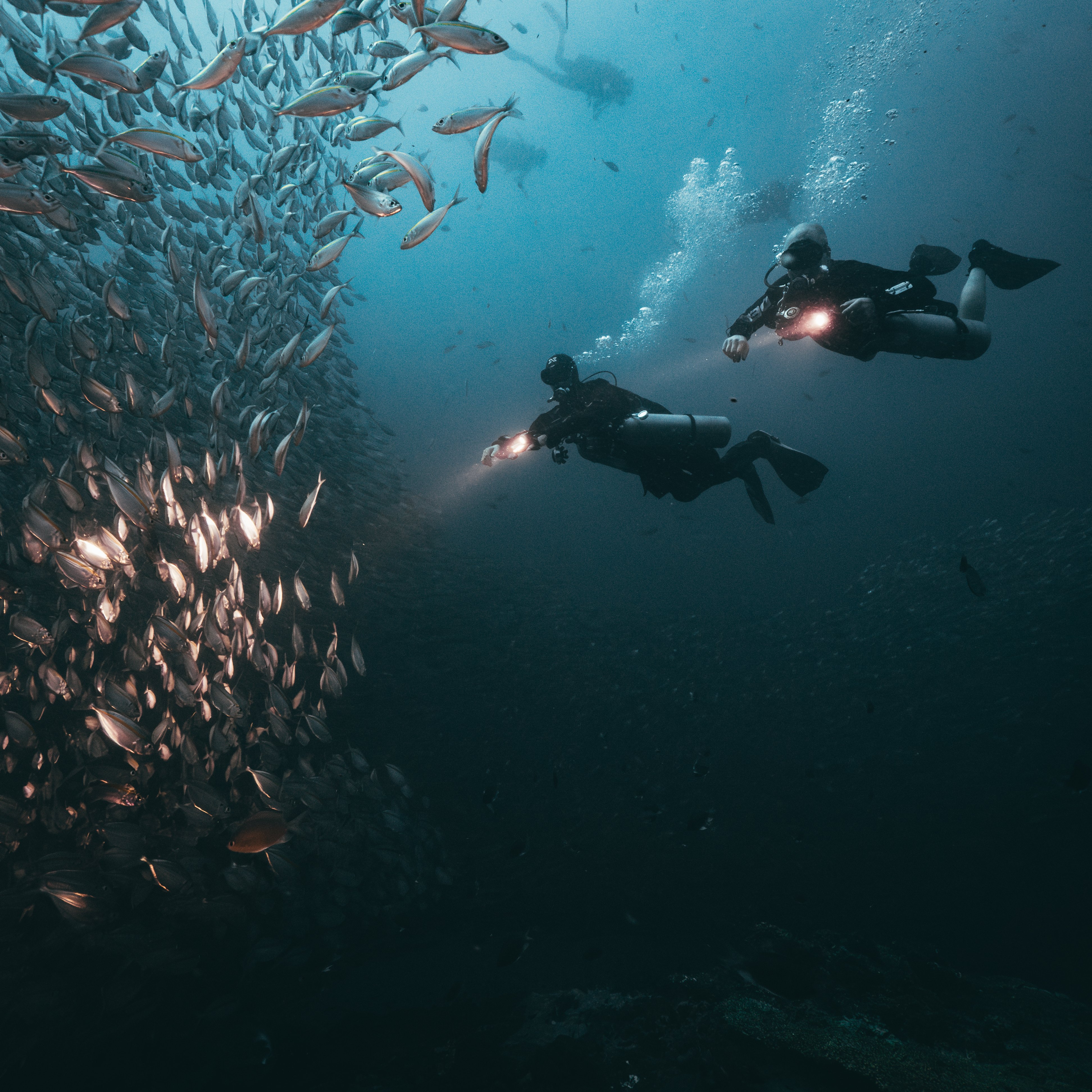 Koh Tao Divers technical divers descend past a school of fish
