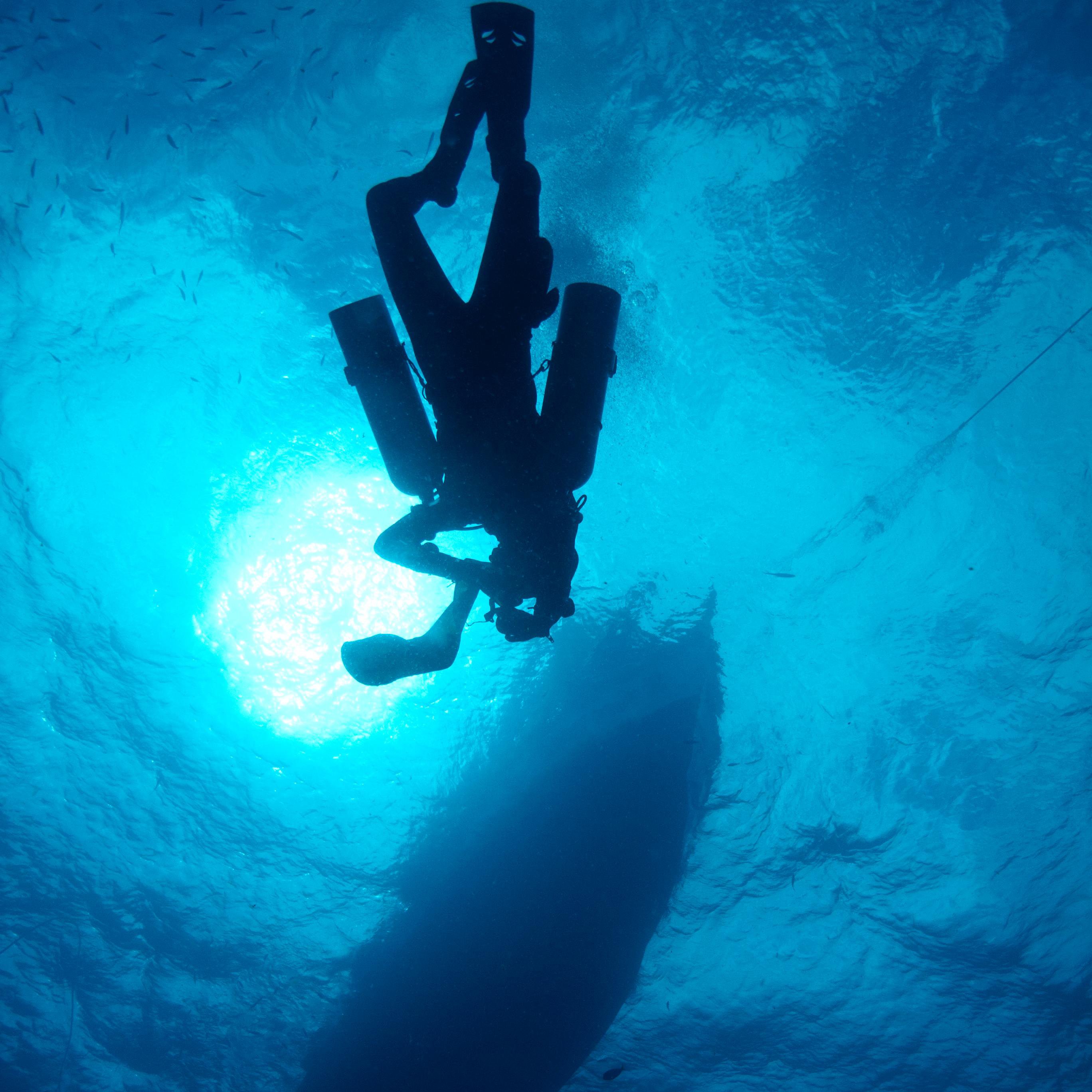 Koh Tao Divers  A diver enjoys the underwater world