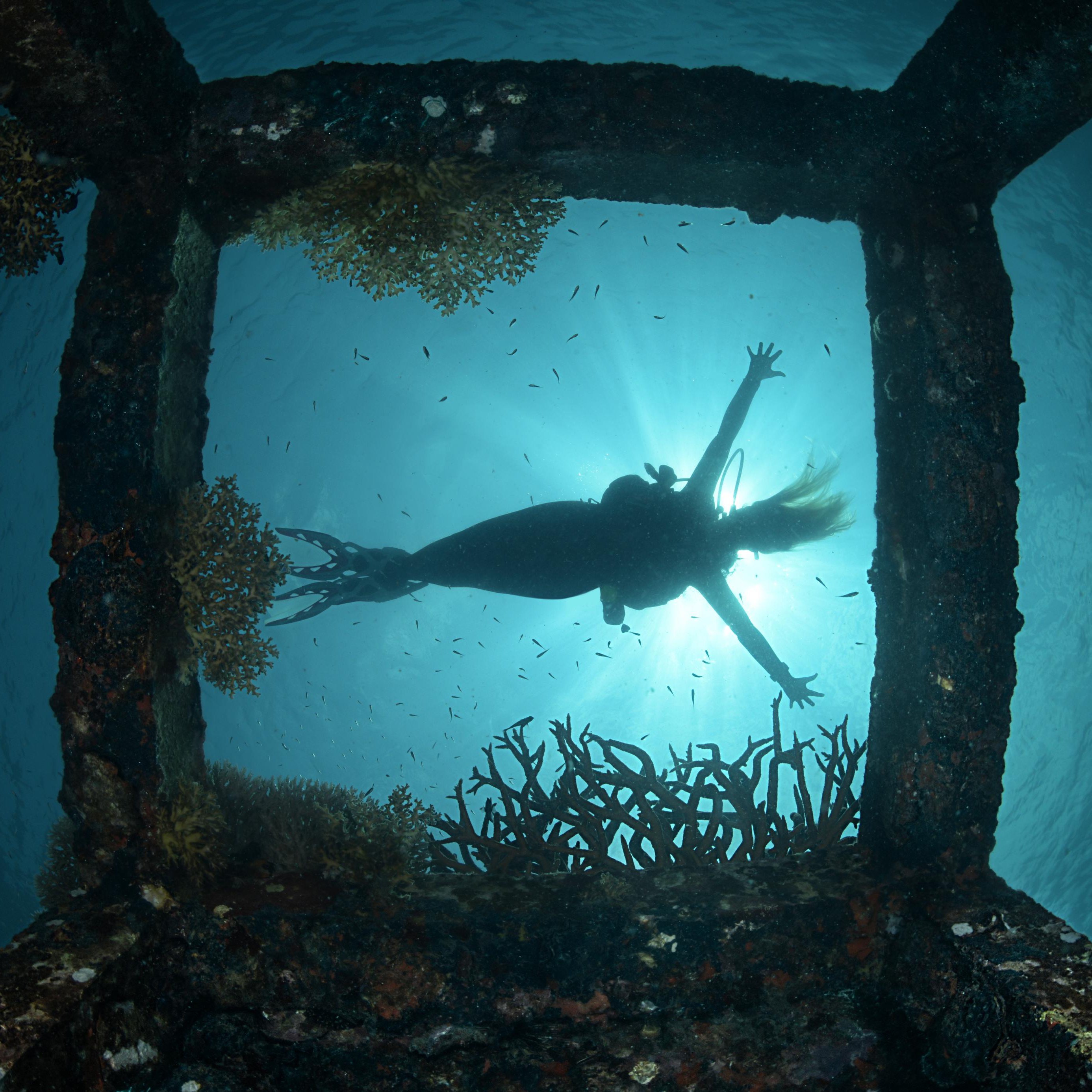 Koh Tao Divers diver is floating on the water