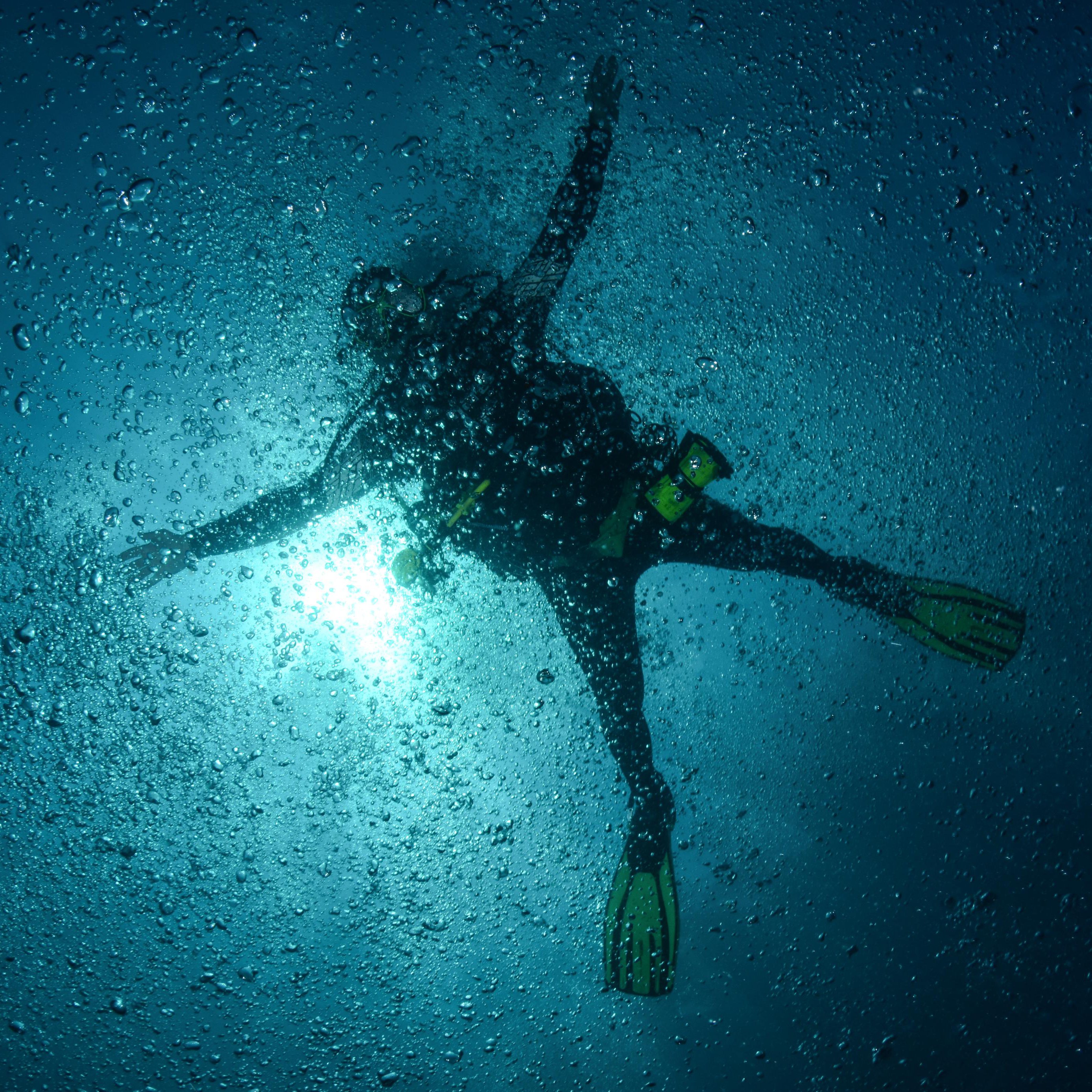 Koh Tao Divers diver floating near the surface