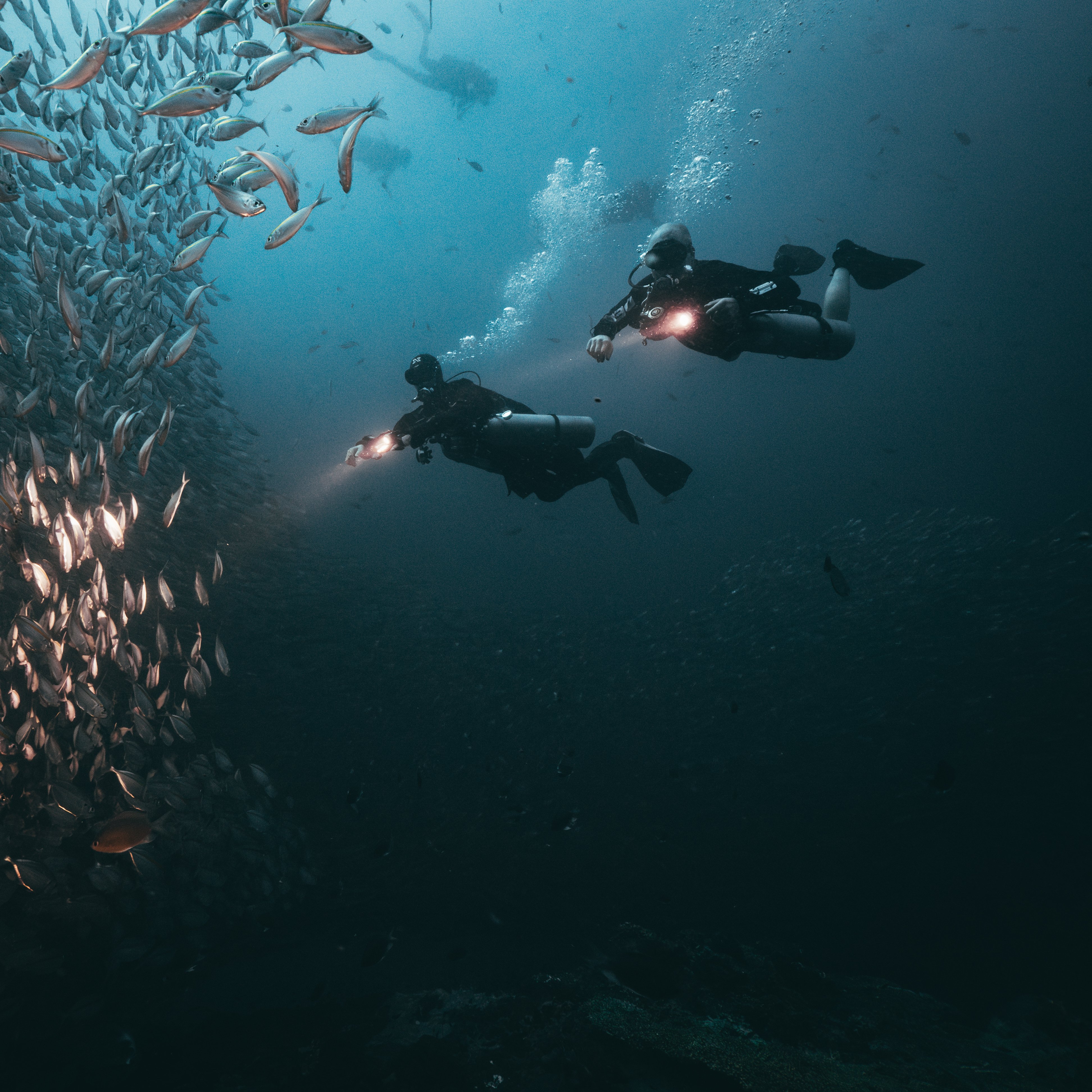 Koh Tao Divers Technical divers