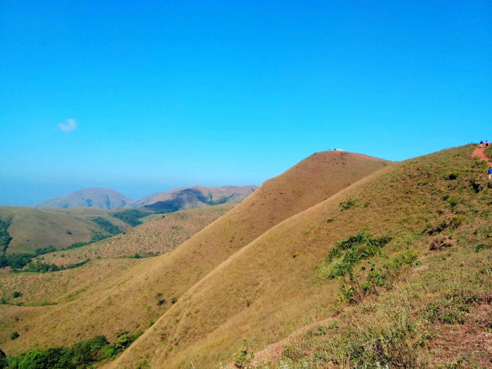 Kyathanamakki Hills, photo 3