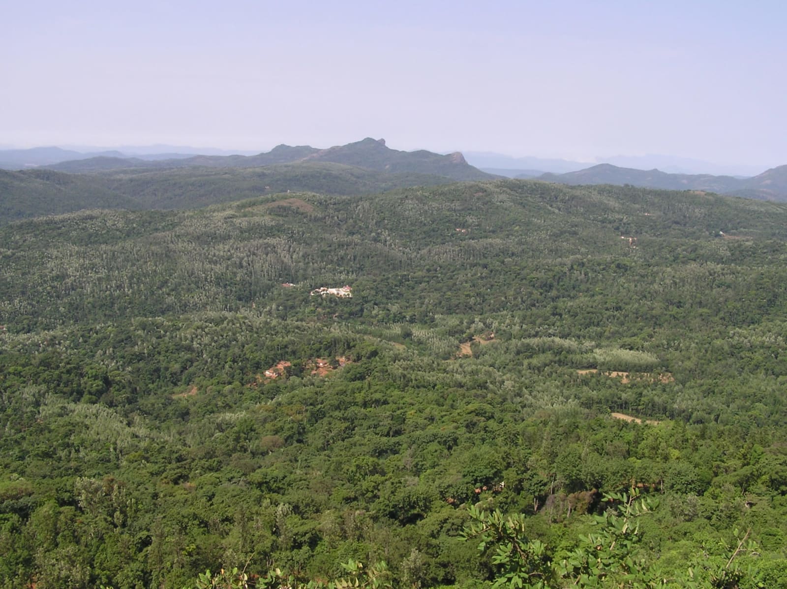 Coffee estate walk and cupping