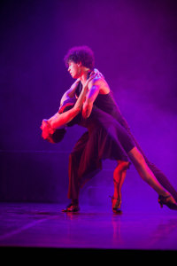 Ballett und Tango - Open Air - Sat, Jul 17, 2027, 20:00 at Theater des Balletts, Oriongasse 4, 3100 St. Pölten, Österreich