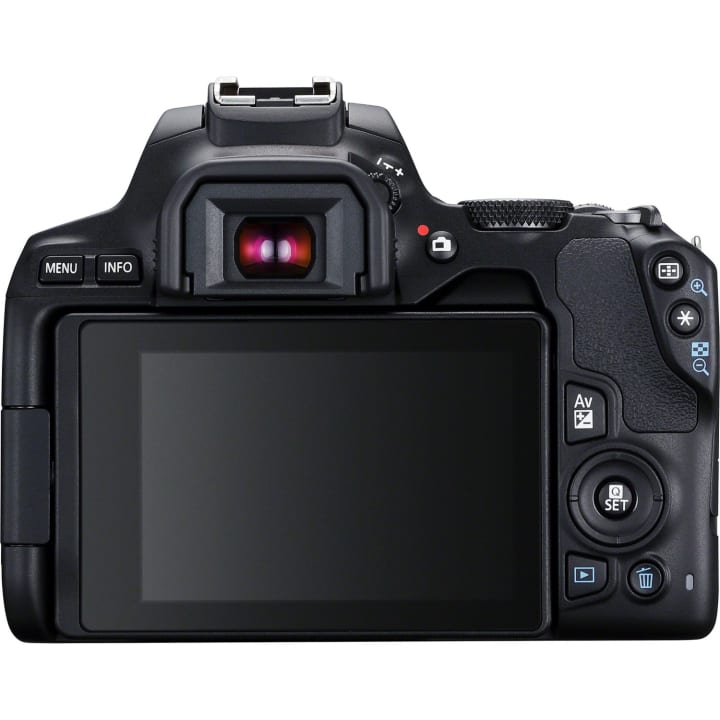 Canon EOS 250D Back