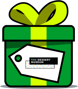 Dessert Museum 50% Off on Admission