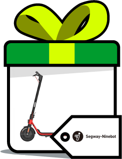 coSegway Electric Scooter