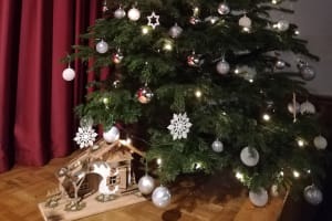 2020-12-22-advents-und-weihnachtszeit-im-kolpinghaus-18