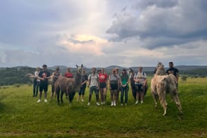 2024-06-28-lama-trecking-1