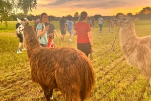 2024-06-28-lama-trecking-2