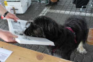 2019-04-02-buecherboerse-april-2019-17