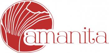 Logo Img