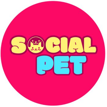 Logo Img