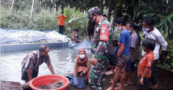 Dan Ramil 1013-13/Sungai Babuat Hadiri Penyuluhan Budidaya dan Pelatihan Pemijahan Ikan Lele