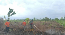 TNI – Polri dan TSAK Kelurahan Bukit Tunggal Sigap Padamkan Api