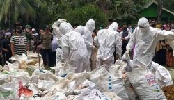 Babinsa Koramil 1013-07/Puruk Cahu Kawal Pemakaman Jenazah Covid-19.