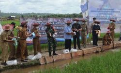 Dampingi Bupati, Dandim 1013/Mtw Hadiri Penaburan Benih Mina Padi