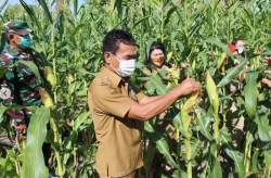 Kodim Palangka Raya Gandeng Kelurahan Pahandut Wujudkan Ketahanan Pangan