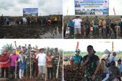 MANTAP, DANREM 102/PJG DAN BUPATI SERTA WAKET DPRD PULPIS OPERASIKAN TRACKTOR