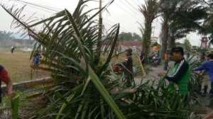 IMG_20191130_195843_156