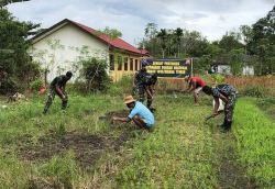 Jaga Ketahanan Pangan di Masa Pandemi, Kodim 1013/Muara Teweh Rawat Lahan Pertanian