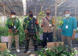 Babinsa Koramil 1015-12/Parenggean Menghadiri Demonstrantion Plot strategi jangka benah (SJB)