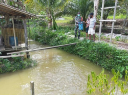 Babinsa Koramil 1016-05/Tumbang Jutuh Ajarkan Cara Budidaya Ikan Air Tawar