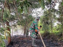 Sigap, Cepat Koramil 1015-03/Ksg Atasi Karhutla