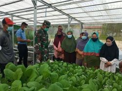 Dukung Ketahanan Pangan, Kodim Pangkalan Bun Berikan Pelatihan Pemanfaatan Pekarangan